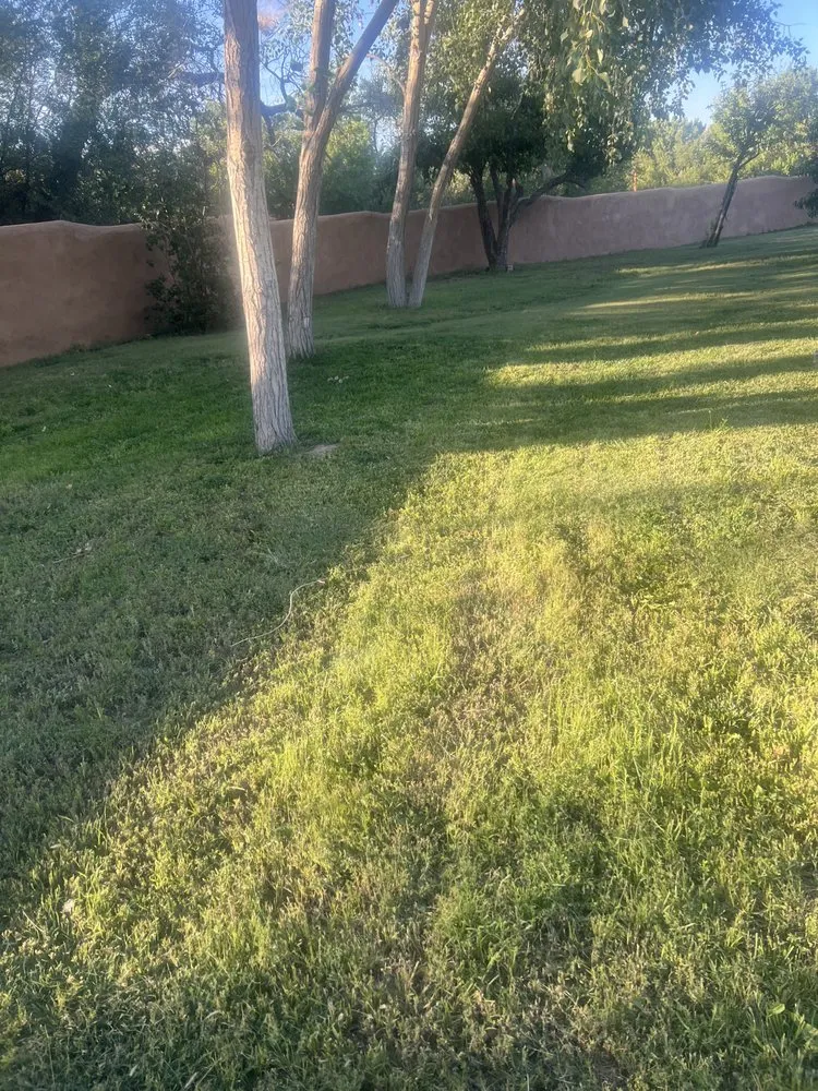 Top-rated outdoor landscaping experts serving Santa Fe, NM - Aspen Landscaping