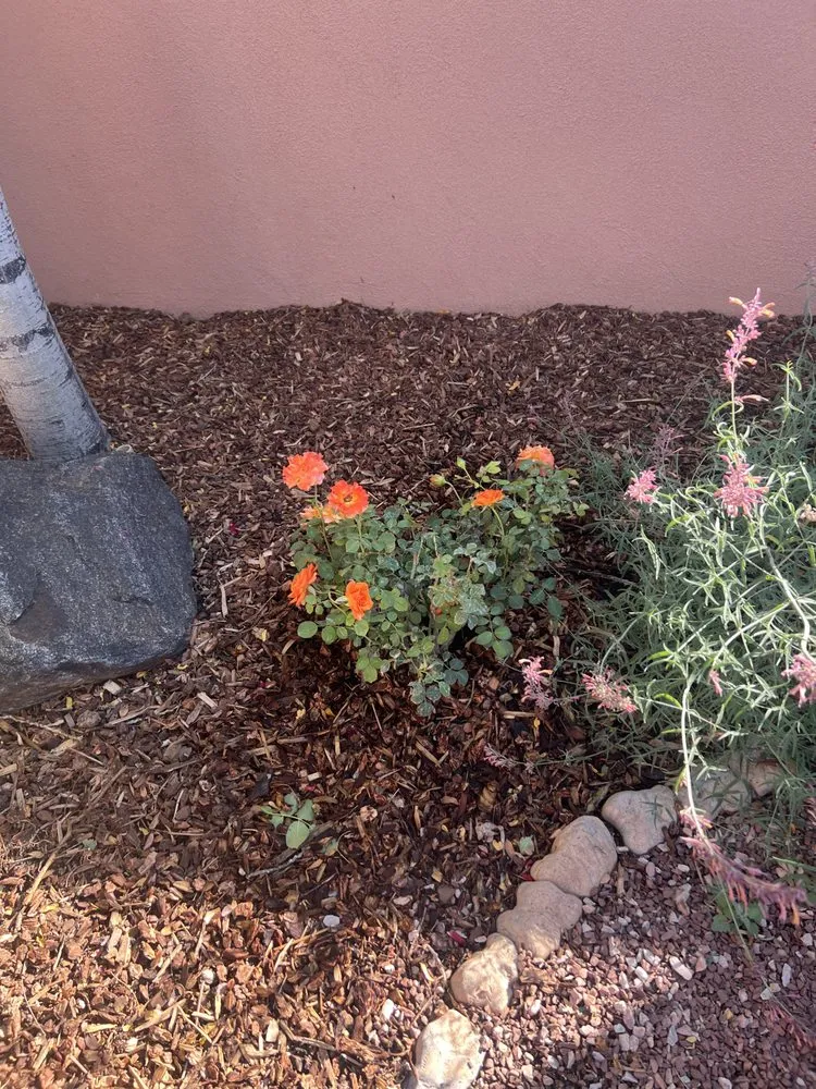 Trusted residential landscaping in Santa Fe, NM - Aspen Landscaping