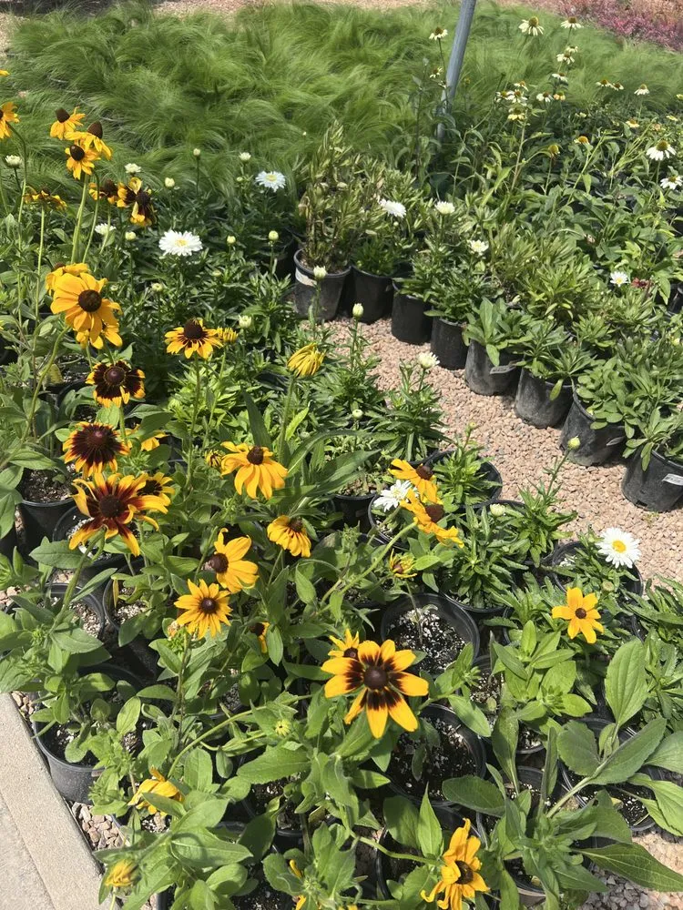 Top-rated garden landscaping experts serving Santa Fe, NM - Aspen Landscaping