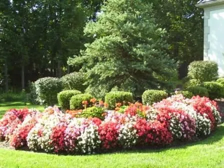 Affordable garden landscaping for outdoor upgrades in Olathe, KS by Aspen Lawn & Pest Control