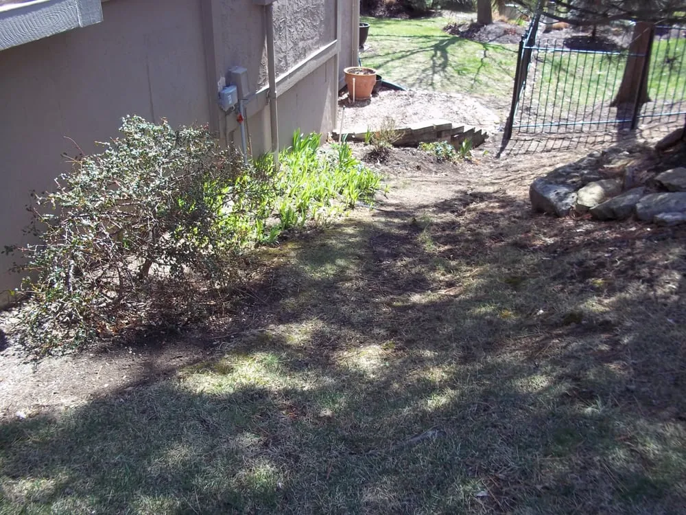 Trusted residential landscaping in Olathe, KS - Aspen Lawn & Pest Control