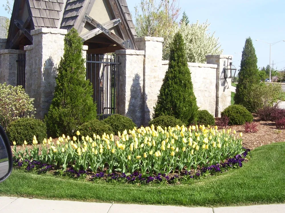 Professional yard cleanup service with custom design in Olathe, KS by Aspen Lawn & Pest Control