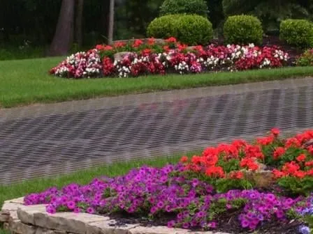 Professional landscape design in Olathe, KS - Aspen Lawn & Pest Control