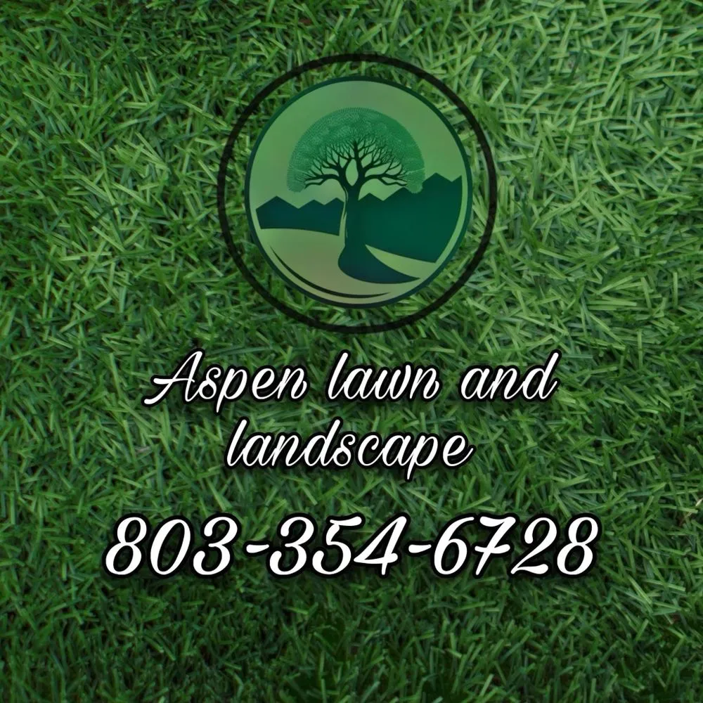 Affordable yard maintenance in Gilbert, SC by Aspen Lawn and Landscape