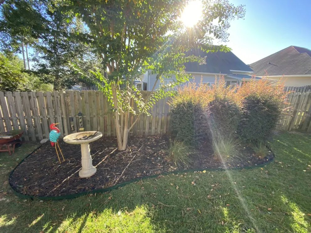 Professional lawn care service for beautiful yards in Gilbert, SC by Aspen Lawn and Landscape