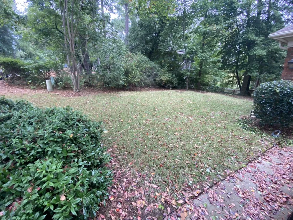 Custom landscaping services in Gilbert, SC by Aspen Lawn and Landscape