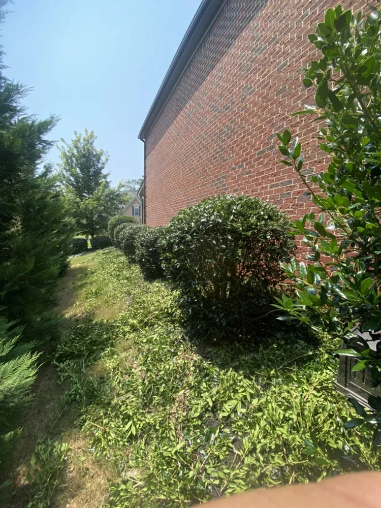 Top-rated yard cleanup service in Gilbert, SC - Aspen Lawn and Landscape