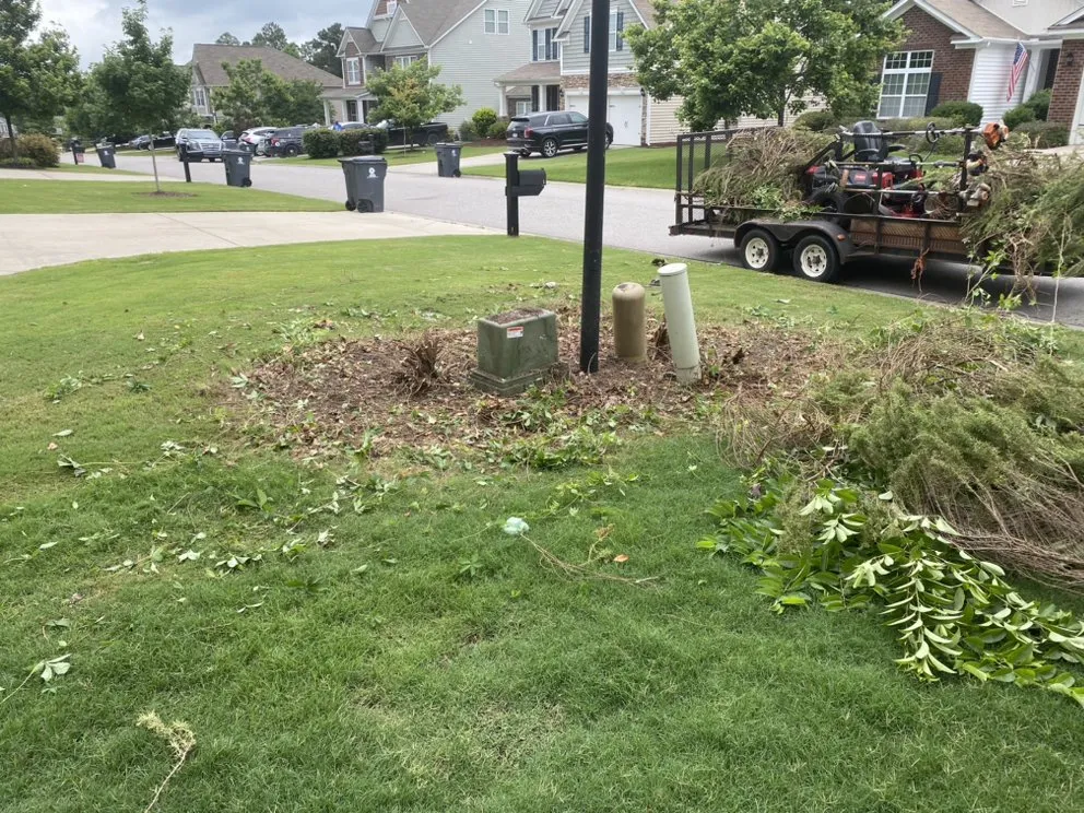 Top-rated lawn care service experts serving Gilbert, SC - Aspen Lawn and Landscape