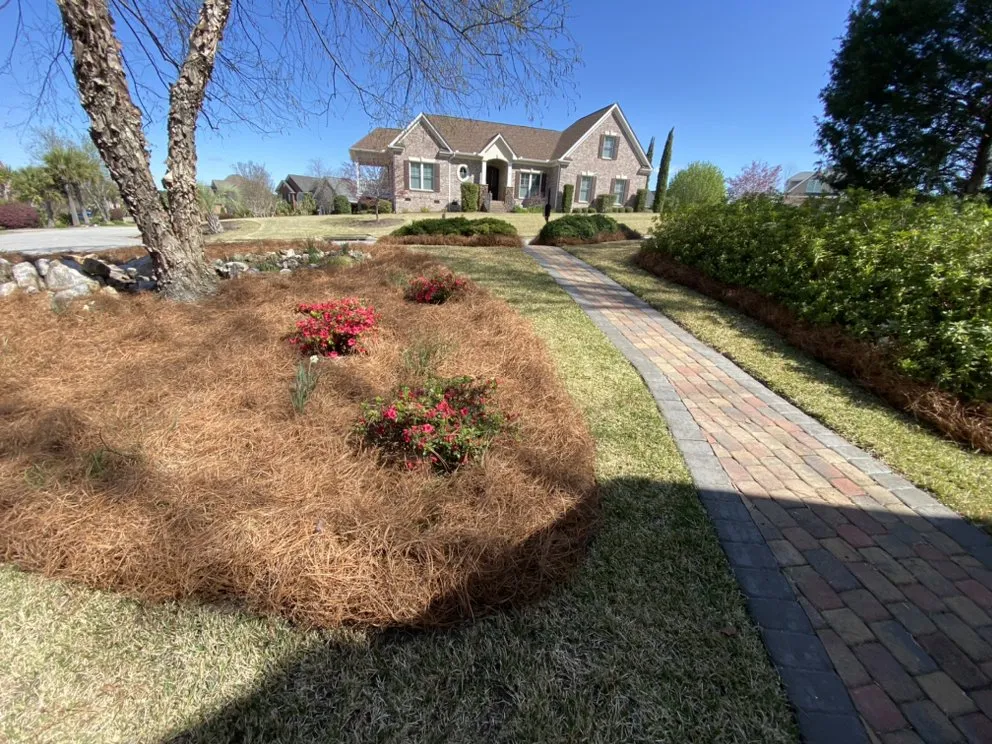 Custom landscape installation experts serving Gilbert, SC - Aspen Lawn and Landscape