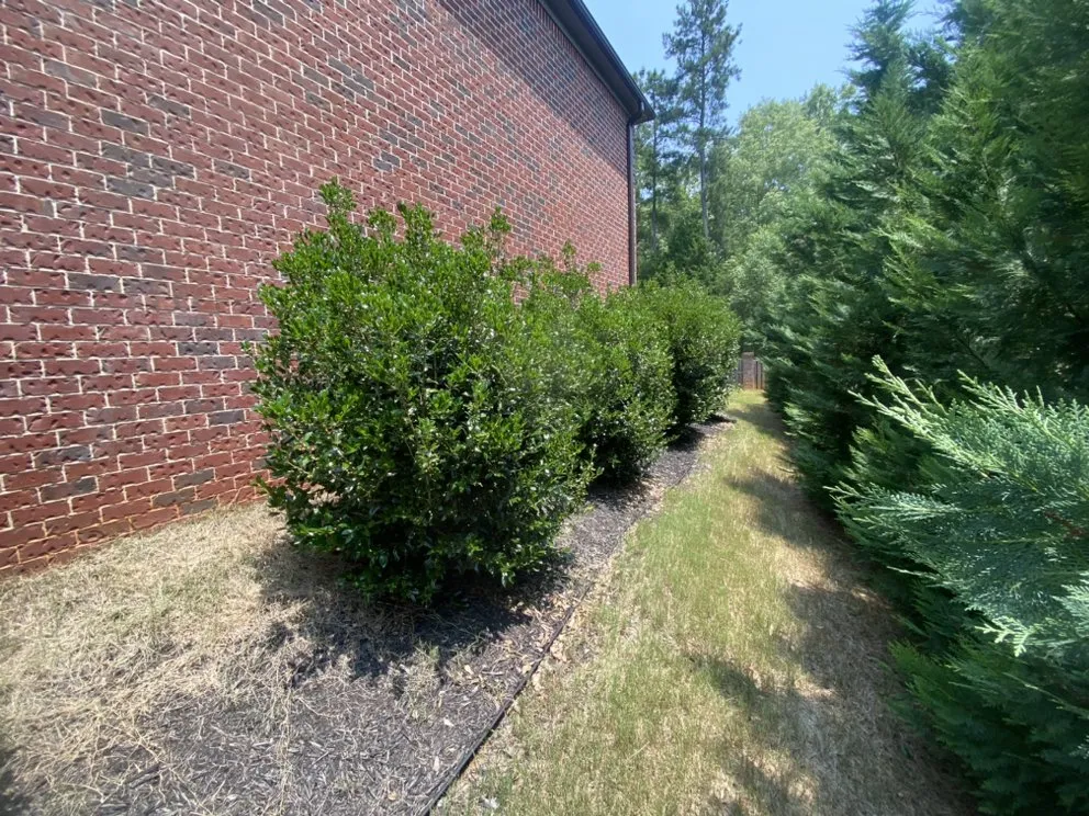 Local landscape design in Gilbert, SC - Aspen Lawn and Landscape