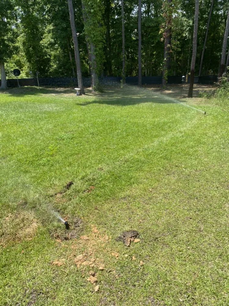 Reliable lawn mowing service in Gilbert, SC by Aspen Lawn and Landscape