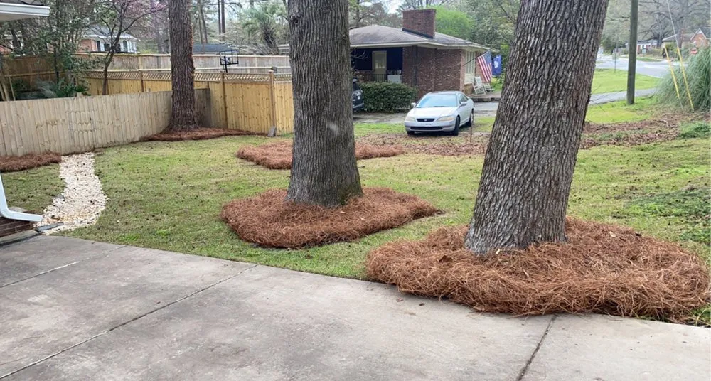 Trusted landscape design experts serving Gilbert, SC - Aspen Lawn and Landscape
