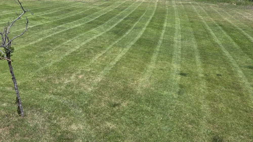 Professional landscape design in Darby, MT by Aspen Lawn Care