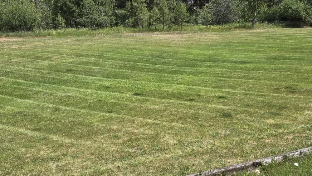 Local outdoor landscaping experts serving Darby, MT - Aspen Lawn Care