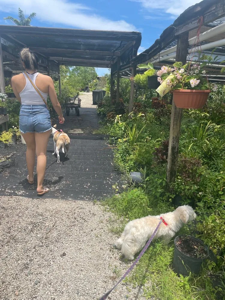 Reliable lawn care service in Pembroke Park, FL by Aspen Nursery