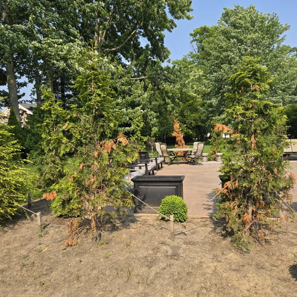 Affordable outdoor landscaping with custom design across Westlake, OH - Aspen Property Services