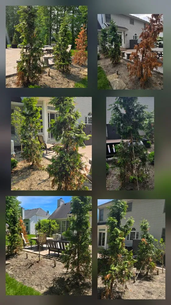 Expert yard cleanup service for homes in Westlake, OH by Aspen Property Services