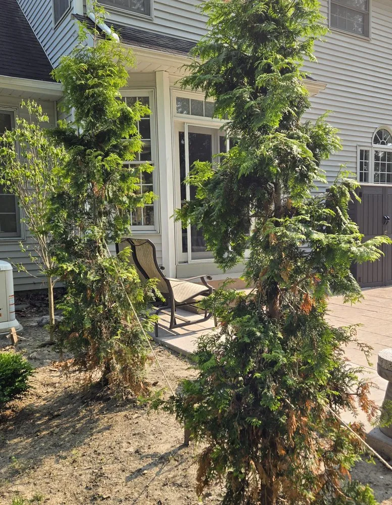 Local lawn mowing service in Westlake, OH - Aspen Property Services