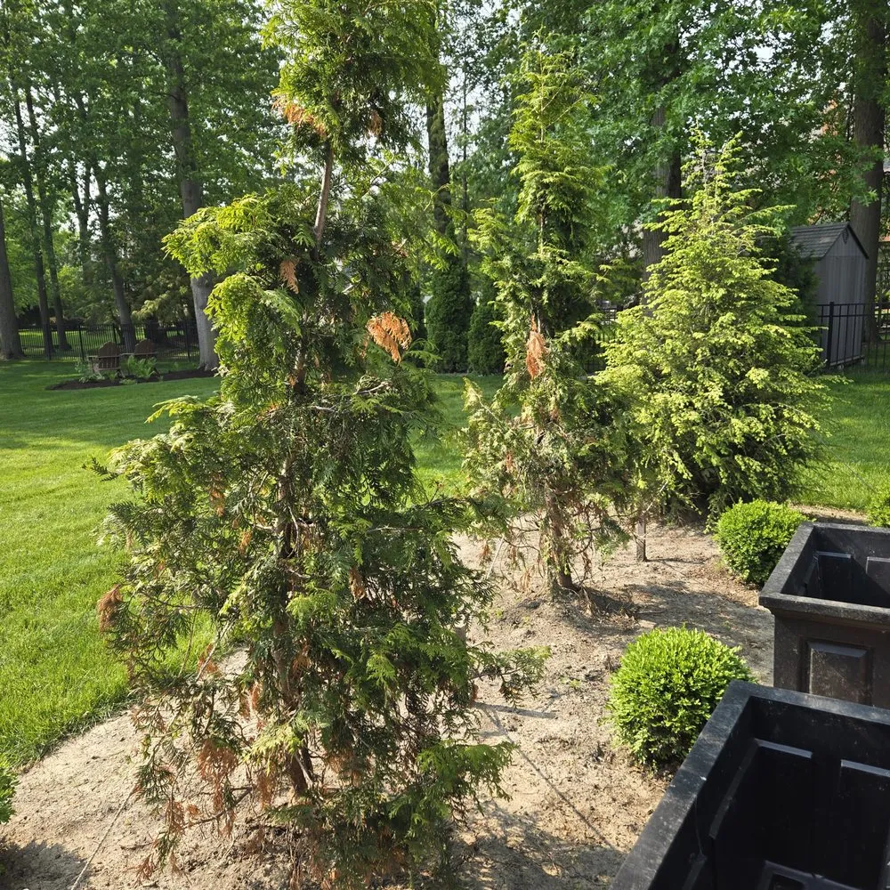 Local lawn mowing service in Westlake, OH - Aspen Property Services