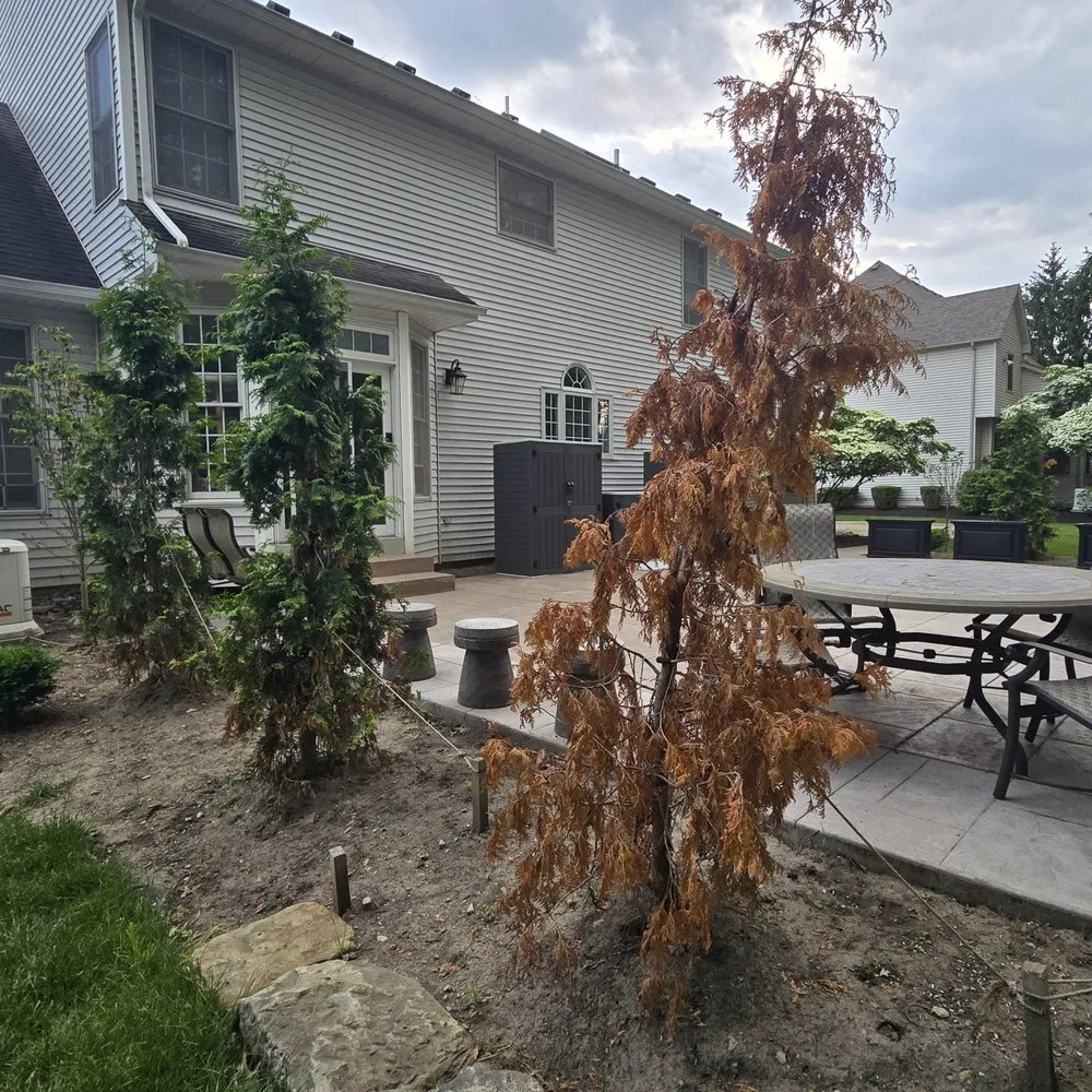 Trusted outdoor landscaping in Westlake, OH by Aspen Property Services