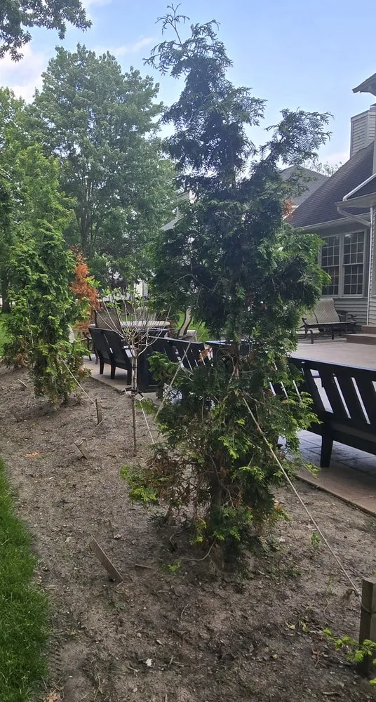 Top-rated landscaping services for residential properties across Westlake, OH - Aspen Property Services