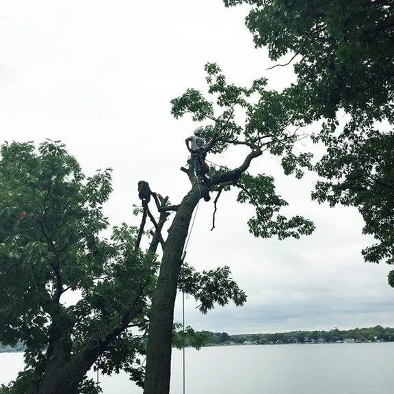 Reliable lawn care service in Sullivan, WI - Aspen Ridge Landscaping & Tree Service