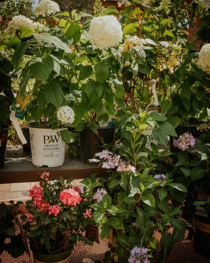 Affordable landscape installation in Rapid City, SD by Aspen Ridge Lawn & Landscape