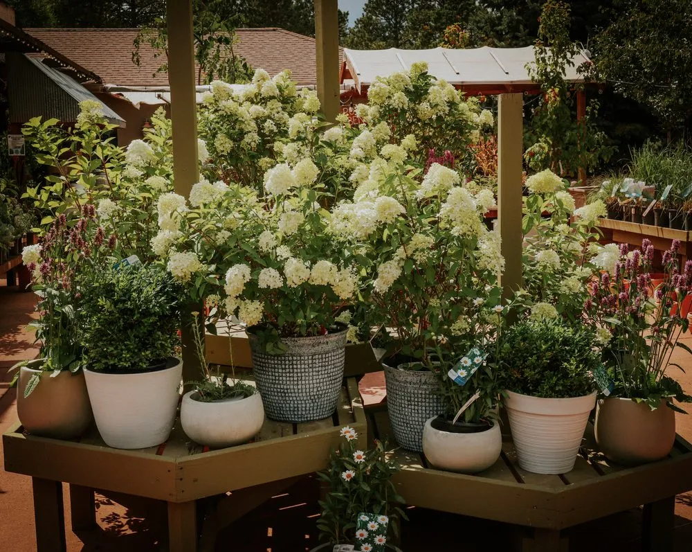 Professional residential landscaping experts serving Rapid City, SD - Aspen Ridge Lawn & Landscape