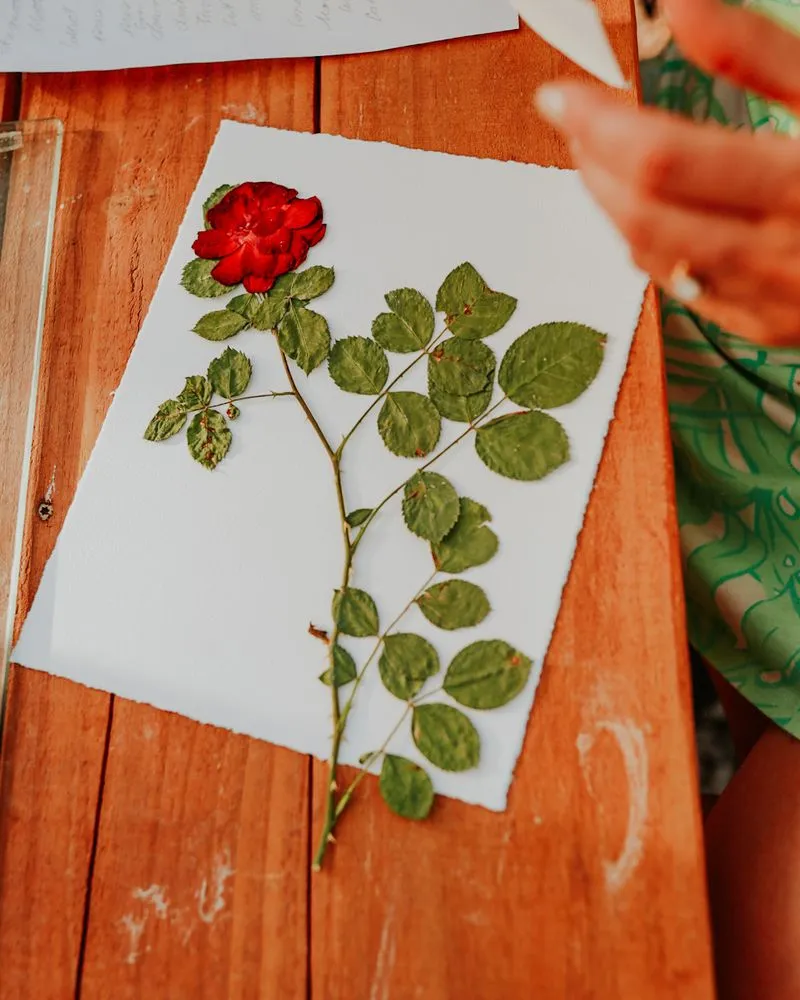 Top-rated lawn mowing service in Rapid City, SD by Aspen Ridge Lawn & Landscape