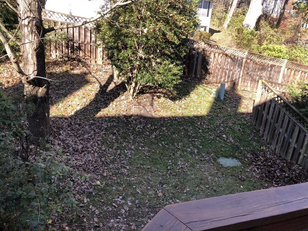 Professional garden landscaping near you in Montgomery County, MD by Aspen Services