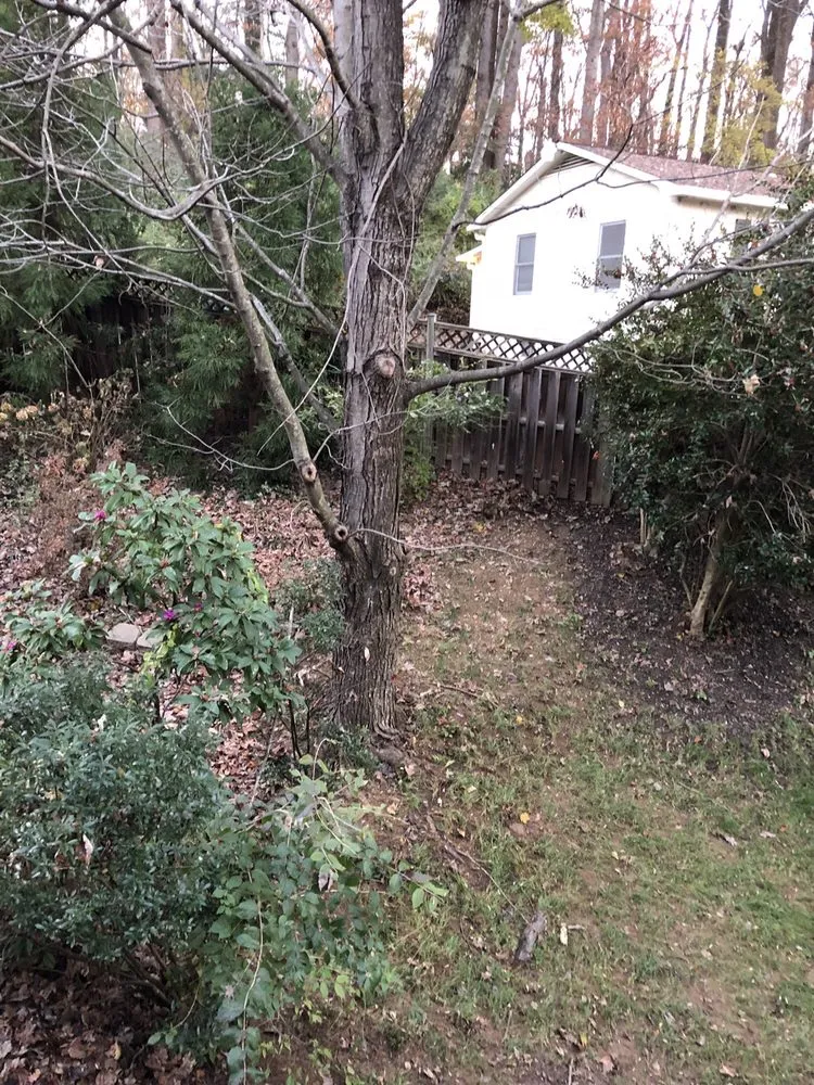 Affordable outdoor landscaping in Montgomery County, MD - Aspen Services