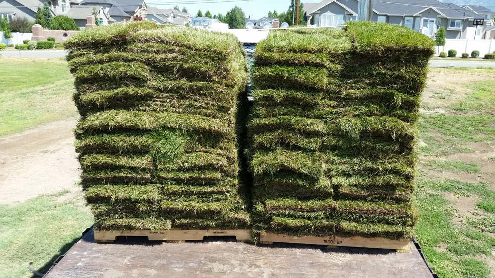 Reliable landscape design in Layton, UT - Aspen Sod