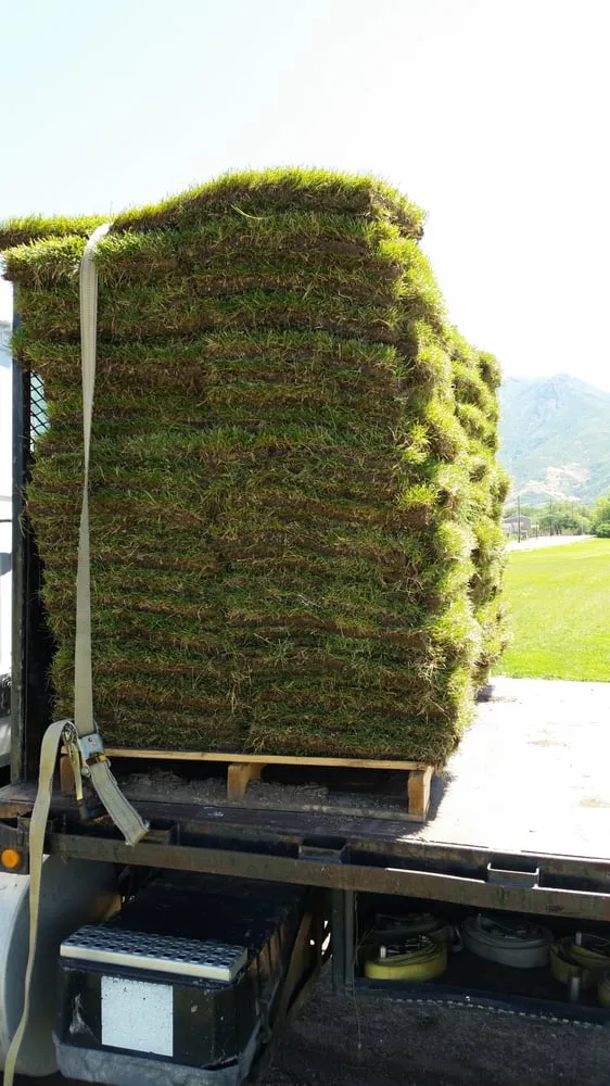 Trusted yard cleanup service for residential properties in Layton, UT by Aspen Sod