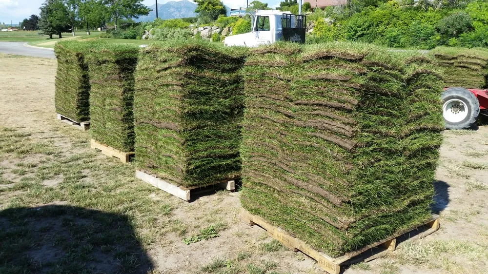 Affordable residential landscaping in Layton, UT by Aspen Sod