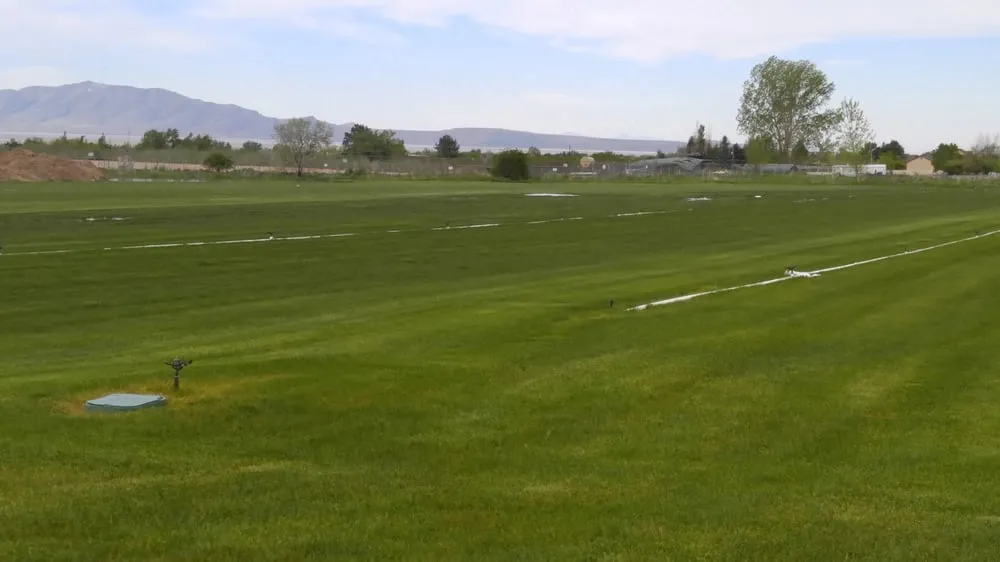 Custom landscape design for homes in Layton, UT by Aspen Sod