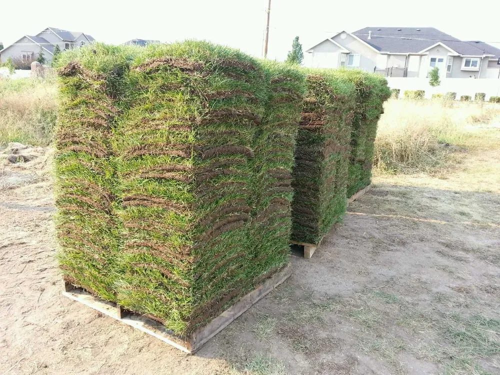 Expert yard maintenance for residential properties in Layton, UT by Aspen Sod