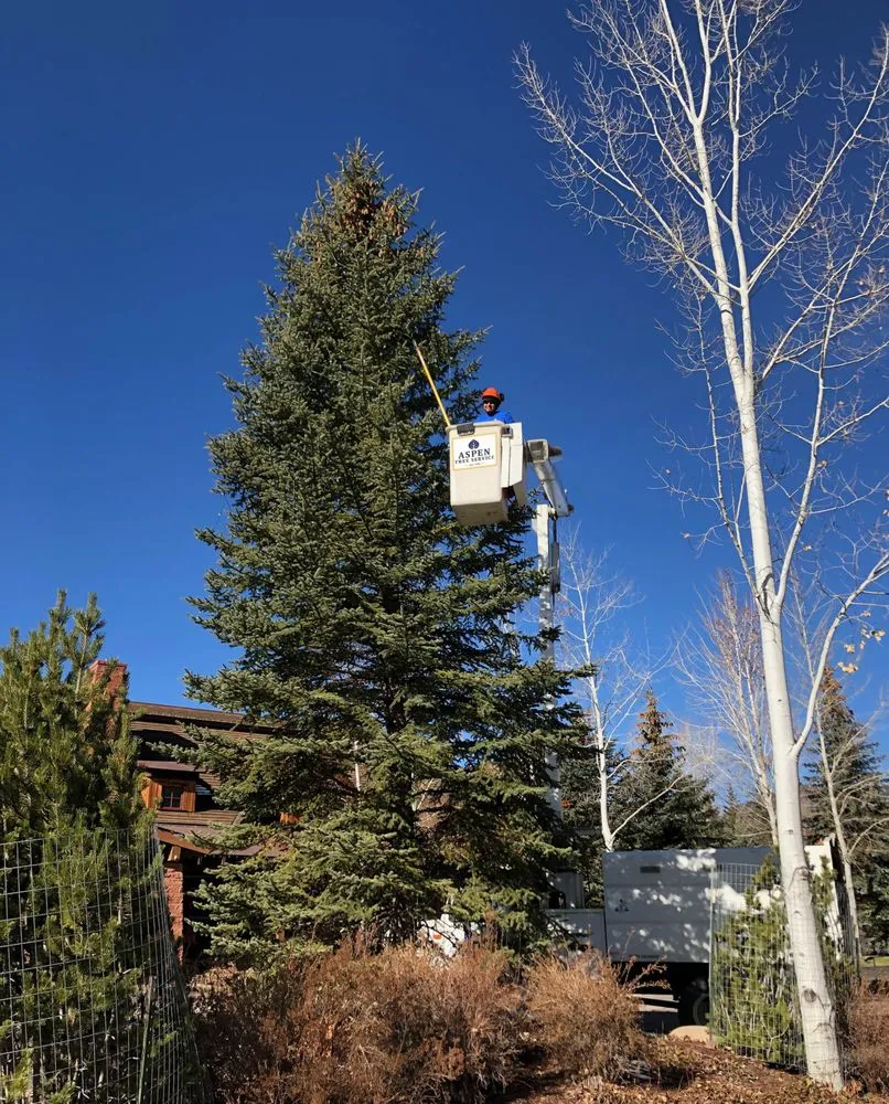 Expert landscape installation in Carbondale, CO by Aspen Tree Service