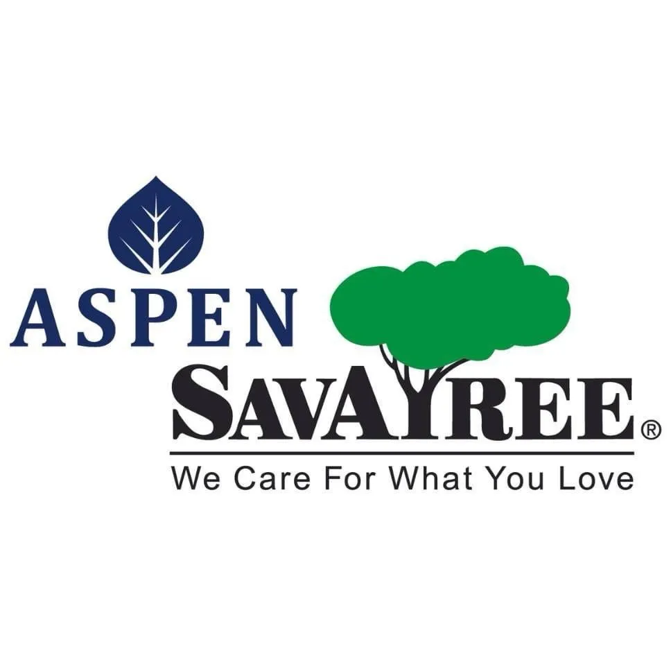 Professional lawn care service in Carbondale, CO by Aspen Tree Service