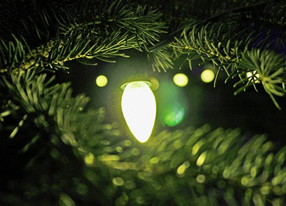 Local residential landscaping in Carbondale, CO - Aspen Tree Service