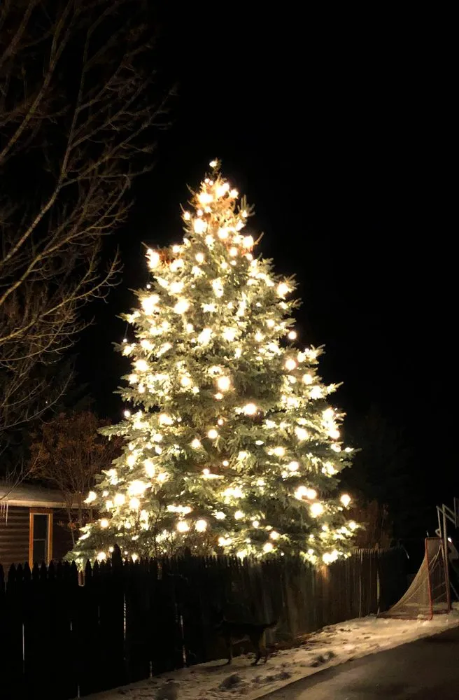 Local lawn mowing service near you across Carbondale, CO - Aspen Tree Service