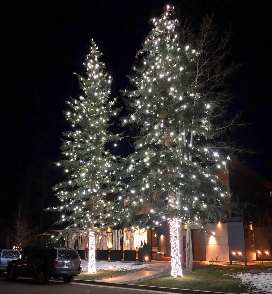 Professional lawn care service for beautiful yards across Carbondale, CO - Aspen Tree Service