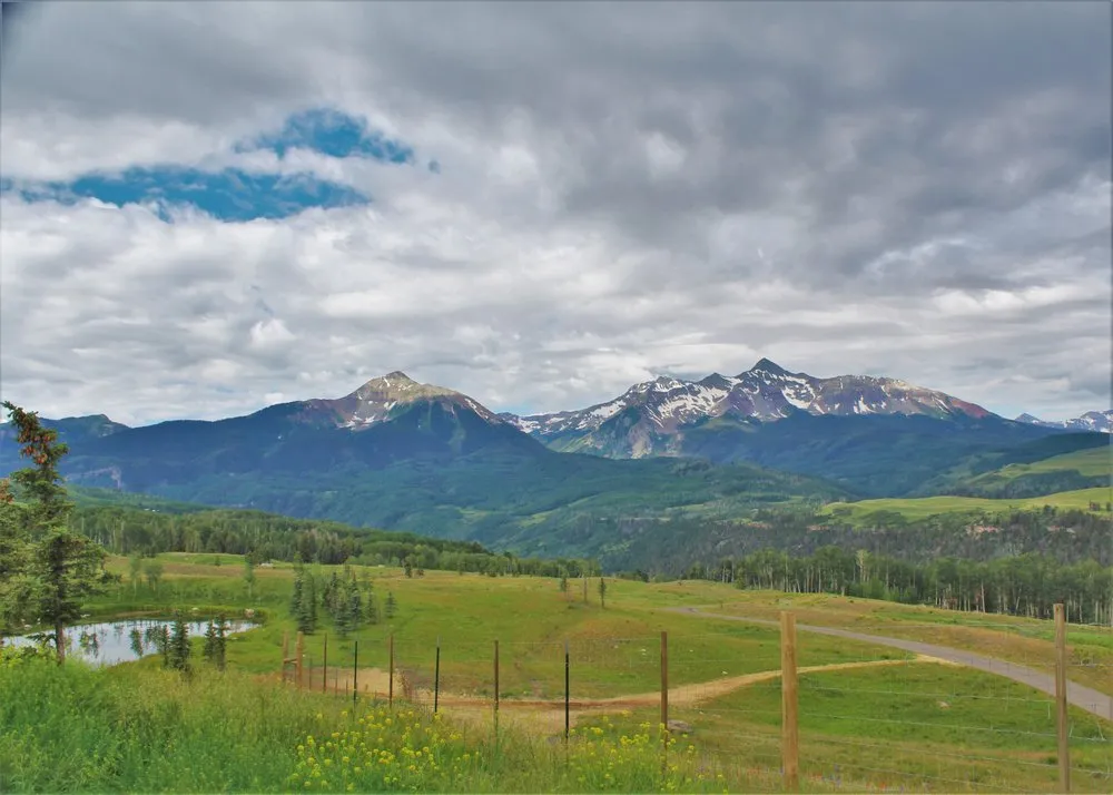 Top-rated landscaping services experts serving Carbondale, CO - Aspen Tree Service