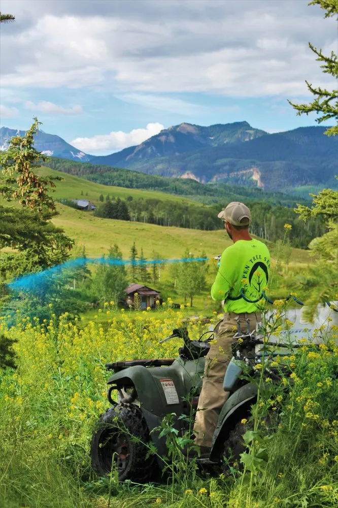 Top-rated garden landscaping for residential properties across Carbondale, CO - Aspen Tree Service