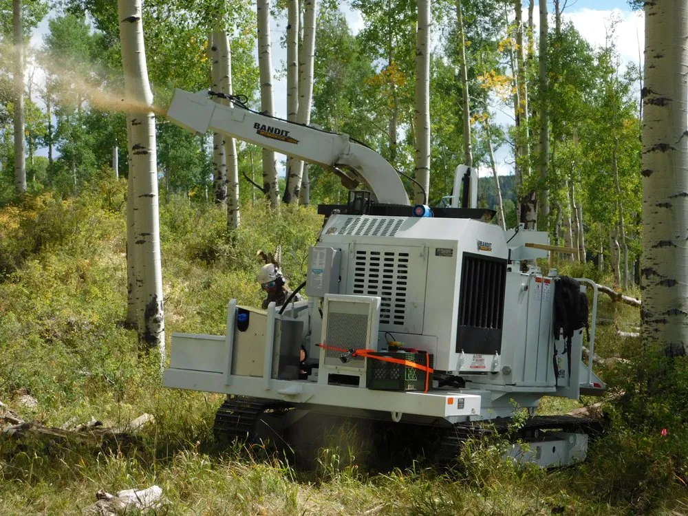 Expert landscaping services for outdoor upgrades in Carbondale, CO by Aspen Tree Service