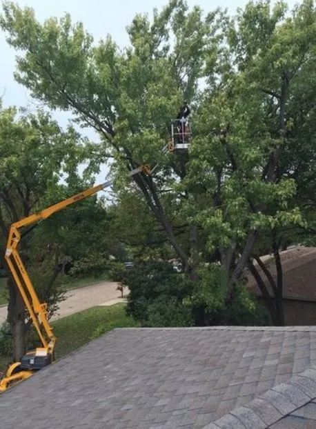 Expert landscaping services in Garland, TX - Aspen Tree Service