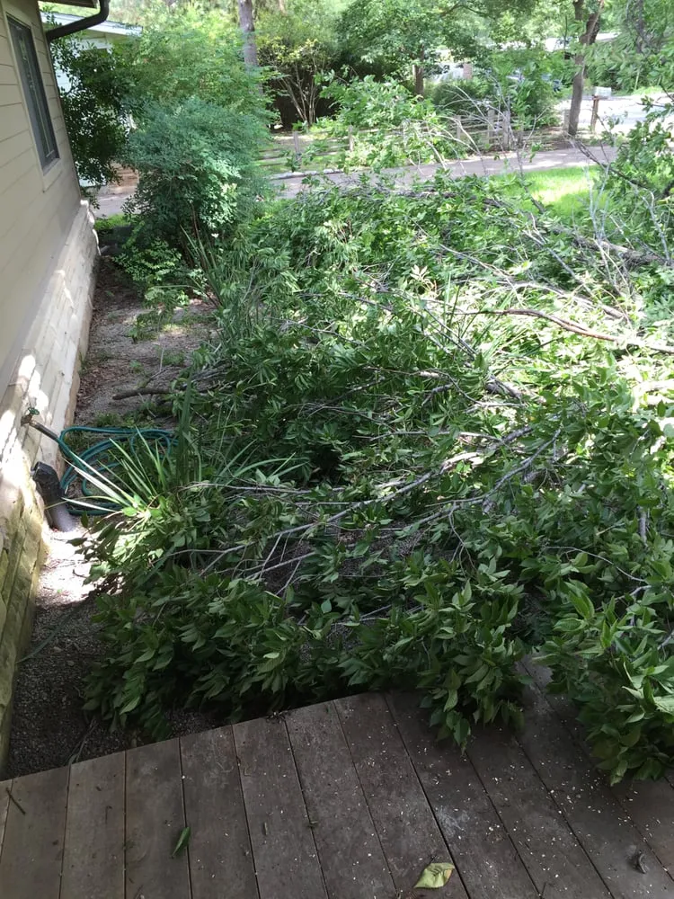 Affordable landscaping services experts serving Manchaca, TX - Aspen Tree Service