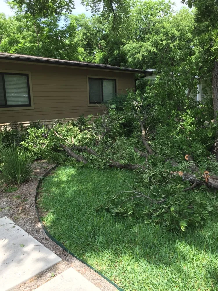 Expert outdoor landscaping in Manchaca, TX by Aspen Tree Service