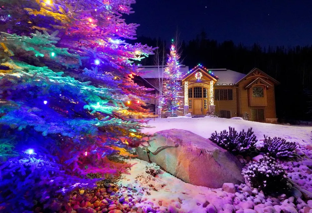 Professional yard maintenance near you across Steamboat Springs, CO - Aspen Tree Service Steamboat Springs