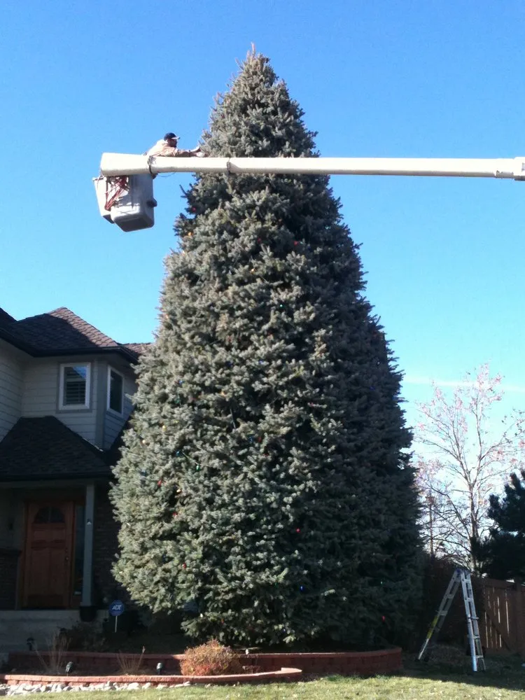 Trusted landscape design for beautiful yards in Steamboat Springs, CO by Aspen Tree Service Steamboat Springs