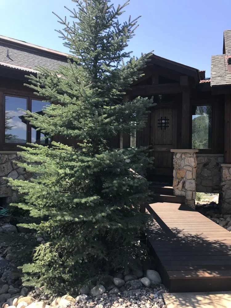 Professional landscape installation experts serving Steamboat Springs, CO - Aspen Tree Service Steamboat Springs